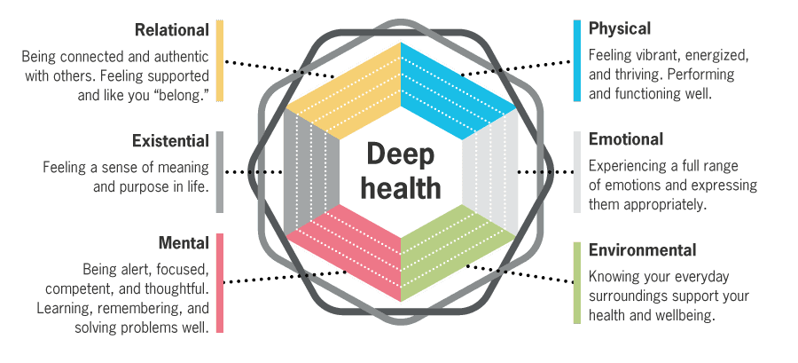 Deic Health Understanding the Key Components of Deep Health